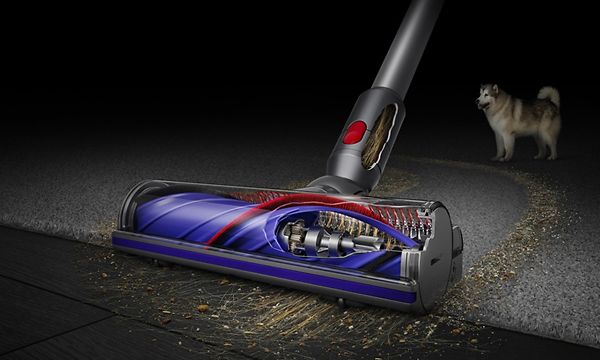 Lähikuva Dyson V10 -pölynimurista imuroimassa lemmikkikarvoja matolta ja koira taustalla