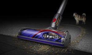 Dyson V12 Absolute -pölynimuri imuroimassa lemmikkien karvoja matolta, koira taustalla