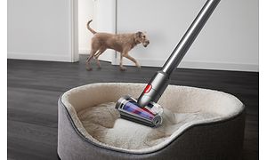 Dyson V12 Slim -varsi-imuri imuroimassa Hair screw -suulakkeella koiranpetiä ja koira taustalla