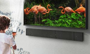 Samsung - Lapsi puutarhaletku kädessään Samsung-television vieressä