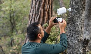 Arlo - Arlo Go V2 - Mies asentamassa Arlo Go V2 -valvontakameraa puuhun