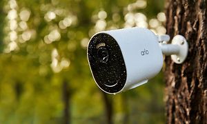 Arlo - Arlo Go V2 - Arlo Go V2 -valvontakamera asennettuna puuhun