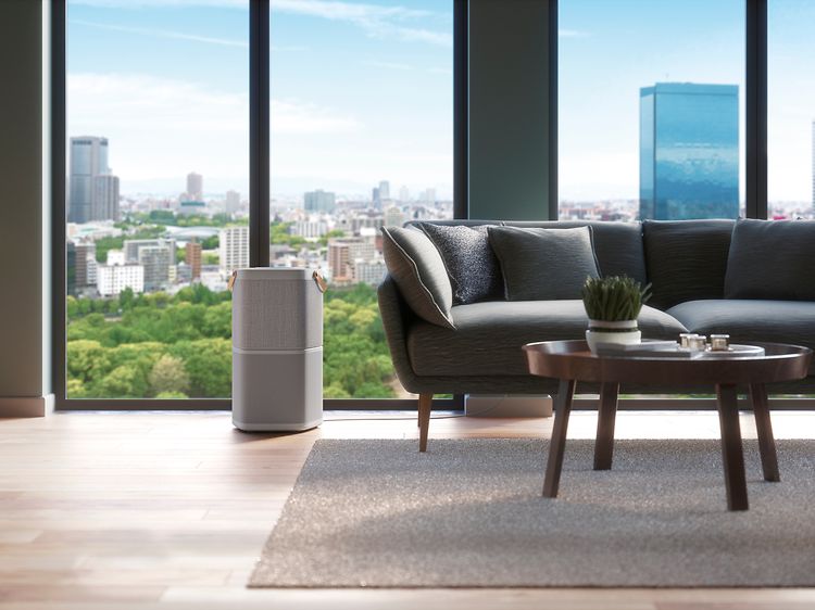 Electrolux - Sisäilmanlaatu - Ilmanpuhdistimet - Olohuoneessa oleva ilmanpuhdistin