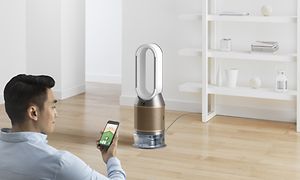 Mies ohjaa ja tarkkailee ilmanlaadun tasoa Dyson Link -sovelluksen avulla