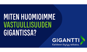 Miten huomioimme vastuullisuuden gigantissa