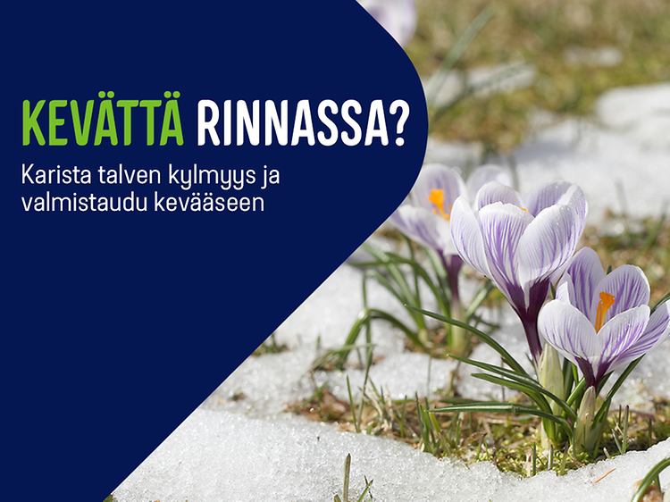 Lumen alta kukkivat krookukset keväisessä luonnossa ja mainosteksti