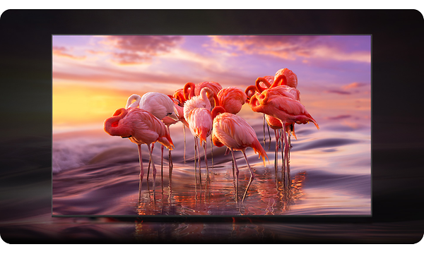 Samsung QLED TV - vivahteikasta 4K-sisältöä