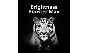 LG OLED TV ja Brightness Booster Max