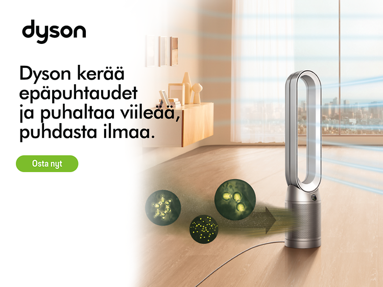 Dyson Heatwave