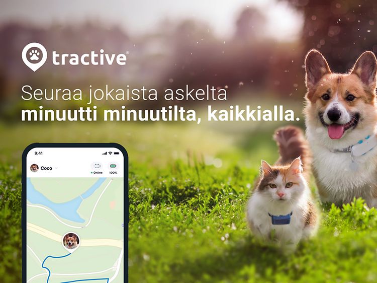 Tractative Trackers -yläbanneri, jossa on sovellus, koira ja kissa
