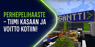 Perhepelihaaste - tiimi kasaan ja voitto kotiin (5)