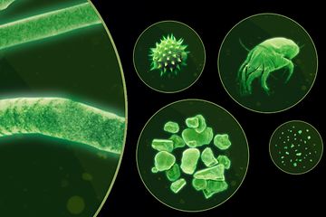 Kuvituskuva vihreistä mikroskooppisista hiukkasista, jotka Dyson-imuri vangitsee