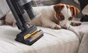 Samsung Jet -pölynimuri ja Pet Tool+ -harja, jolla henkilö imuroi koiran vieressä sohvalla