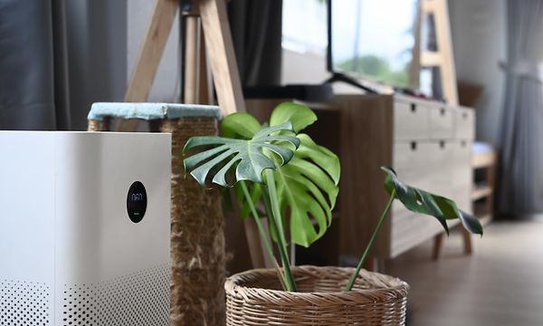 Sisäilmanlaatu - Ilmanlaatu - Monstera-viherkasvi ja ilmanpuhdistin huoneessa