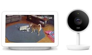  Google Nest Hub -verkkokamera ja näyttö, jossa näytetään kuvaa koirasta