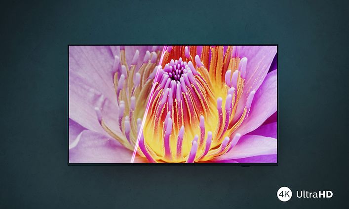 Philips TV - 4K Ultra HD LED TV ja punainen kukka televisioruudulla