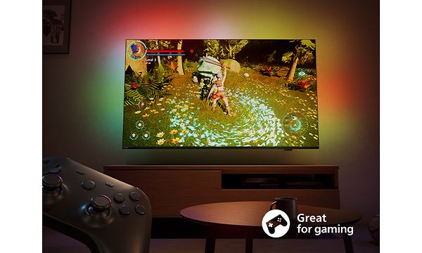 Philips 8079 TV - Gaming