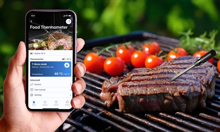Bosch-paistolämpömittari - Bosch PerfectRoast