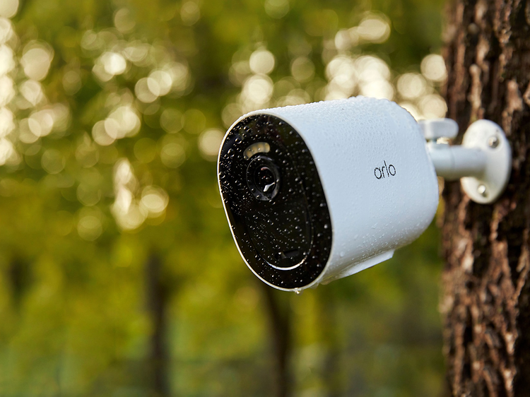 Arlo Go v2 4G LTE -turvakamera kiinnitettynä ulos puun runkoon