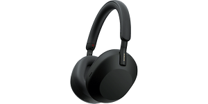 Headphonesss