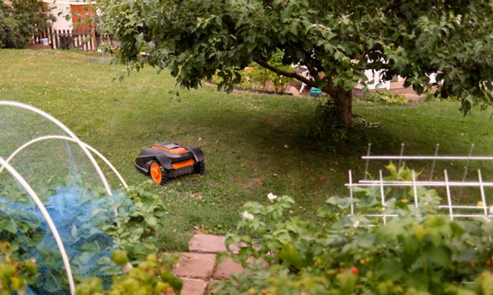 Robottiruohonleikkuri leikkaamassa pihan nurmikkoa