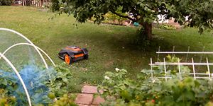 Robottiruohonleikkuri leikkaamassa pihan nurmikkoa